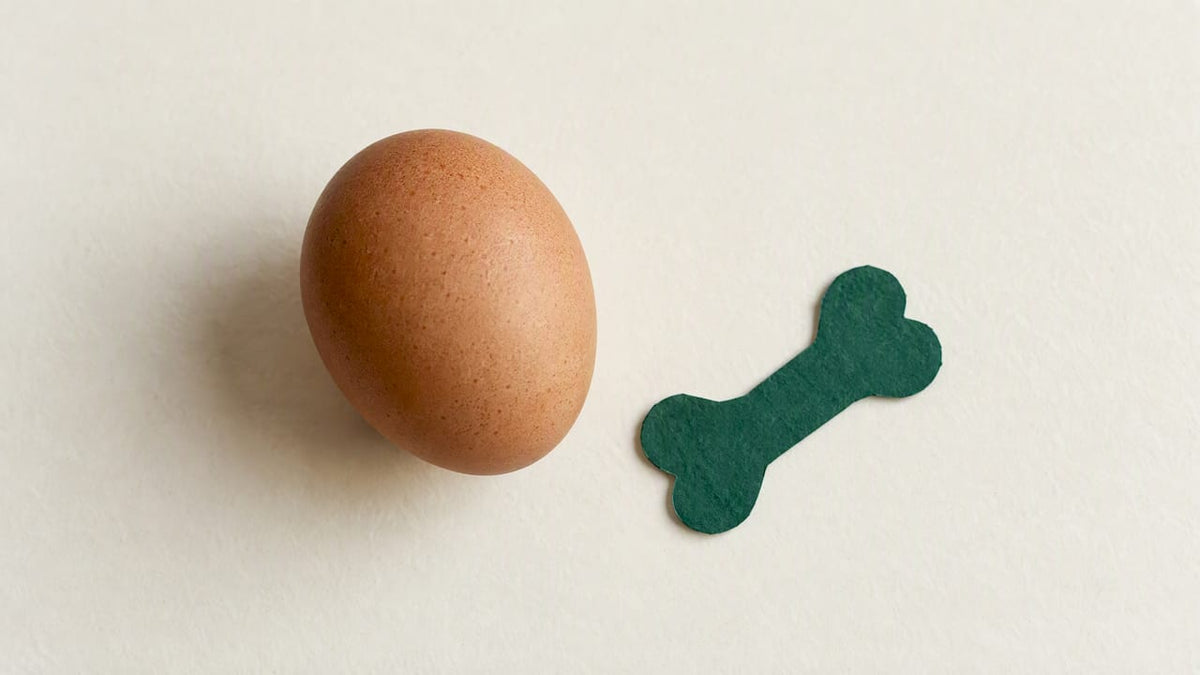 Vitamin D and menopause: what the evidence says