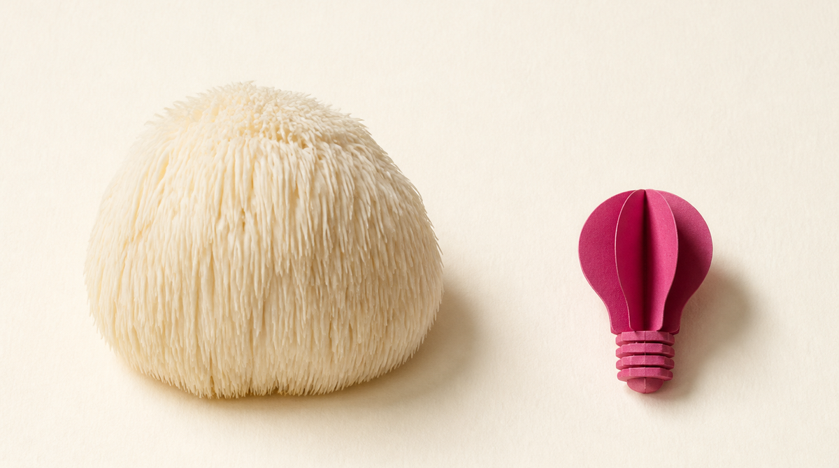 Lion's Mane Benefits: What the Human Evidence Really Shows