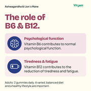 Vitamin B6 contributes to normal psychological function; vitamin B12 to the reduction of tiredness and fatigue