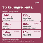 Amounts per two gummies: ashwagandha root extract 240 mg, Lion’s Mane 120 mg, ginkgo 120 mg, magnesium 112 mg